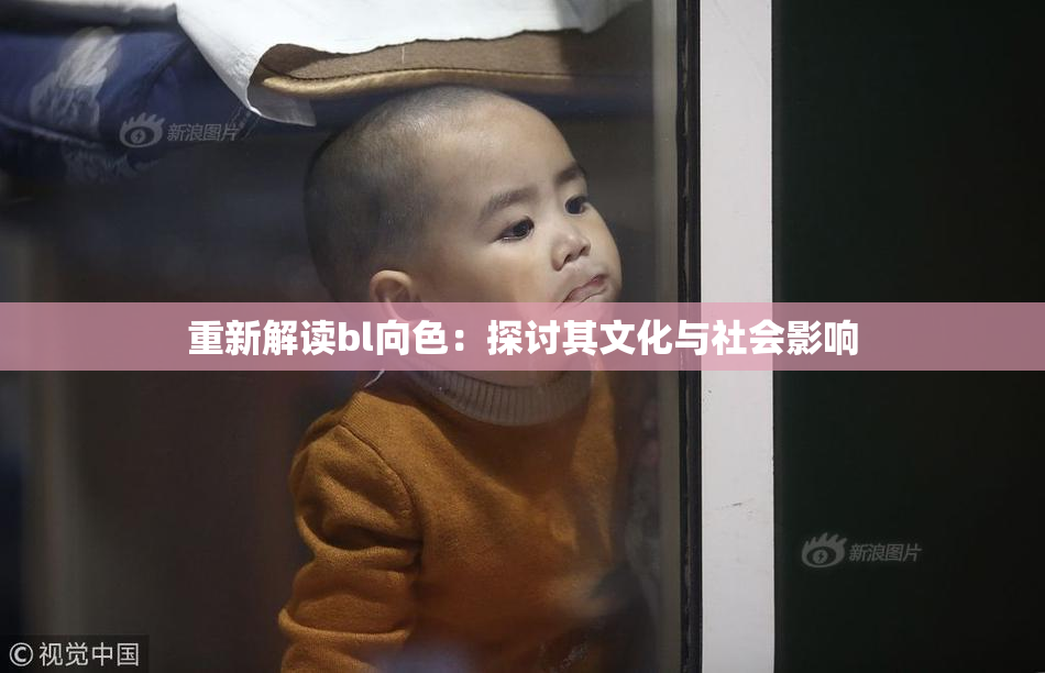 重新解读bl向色：探讨其文化与社会影响