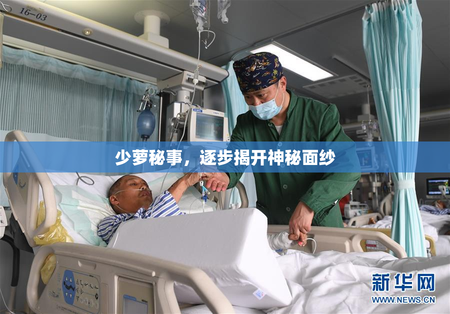 少萝秘事，逐步揭开神秘面纱