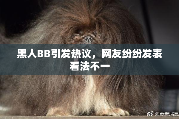 黑人BB引发热议，网友纷纷发表看法不一