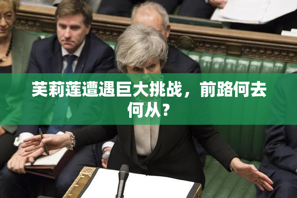 芙莉莲遭遇巨大挑战，前路何去何从？
