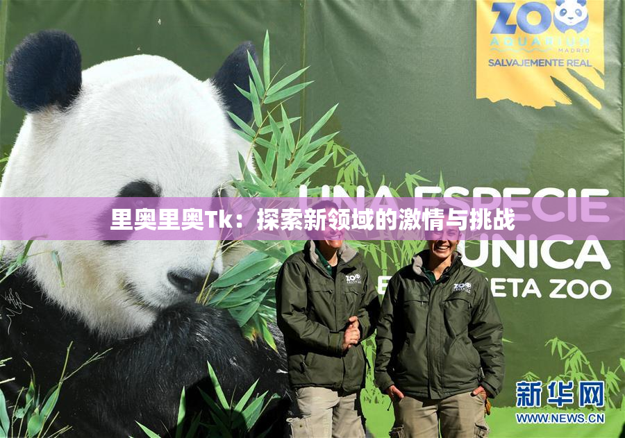 里奥里奥Tk：探索新领域的激情与挑战