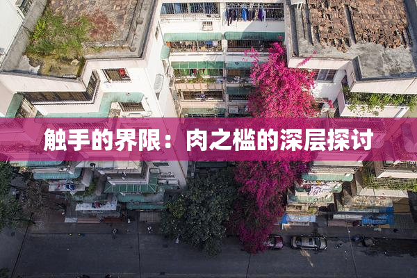 触手的界限：肉之槛的深层探讨