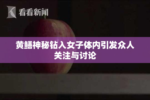 黄鳝神秘钻入女子体内引发众人关注与讨论