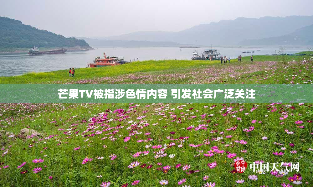 芒果TV被指涉色情内容 引发社会广泛关注