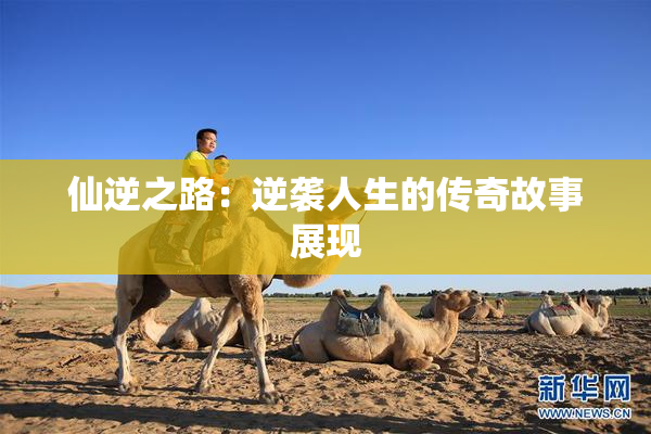 仙逆之路：逆袭人生的传奇故事展现