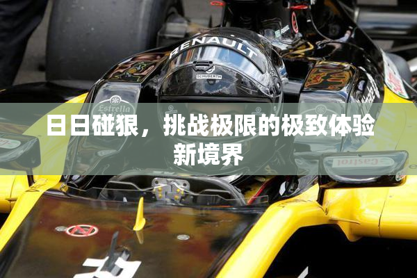 日日碰狠，挑战极限的极致体验新境界