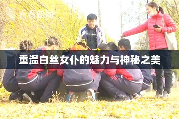 重温白丝女仆的魅力与神秘之美