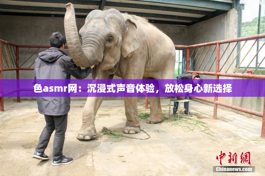 色asmr网：沉浸式声音体验，放松身心新选择