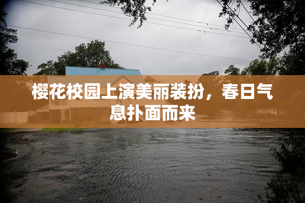 樱花校园上演美丽装扮，春日气息扑面而来