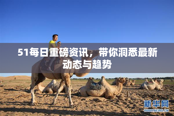 51每日重磅资讯，带你洞悉最新动态与趋势