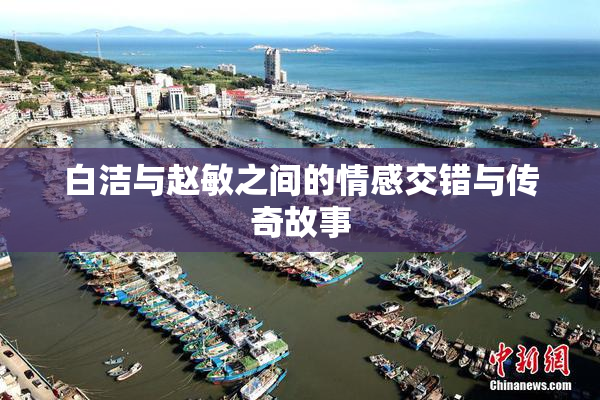 白洁与赵敏之间的情感交错与传奇故事