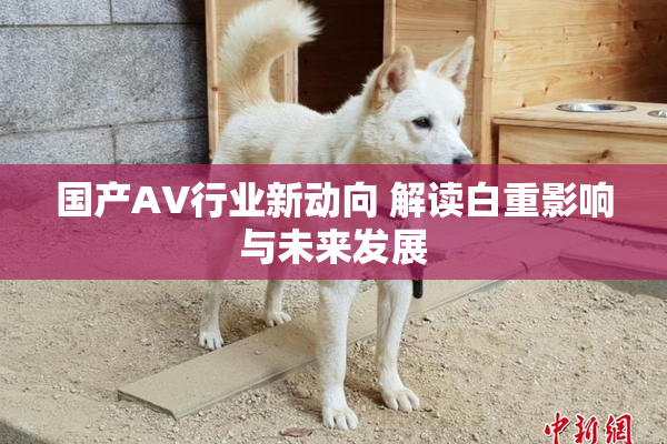 国产AV行业新动向 解读白重影响与未来发展
