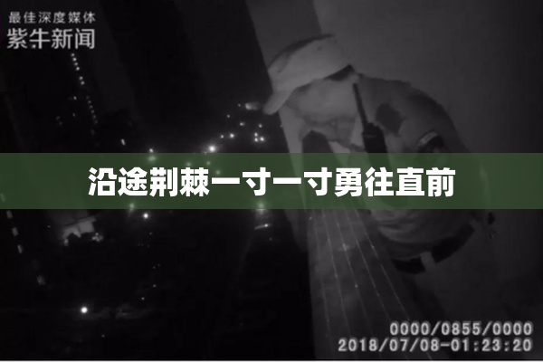 沿途荆棘一寸一寸勇往直前