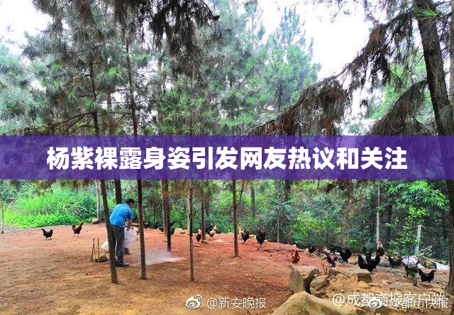 杨紫裸露身姿引发网友热议和关注