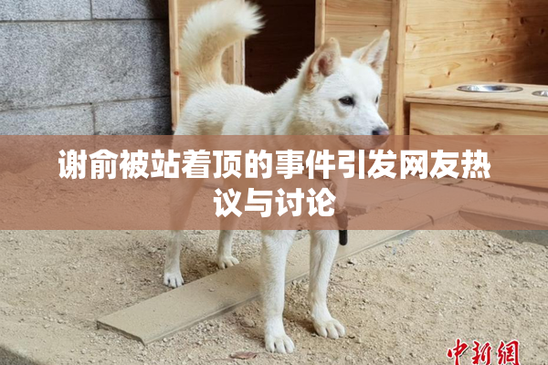 谢俞被站着顶的事件引发网友热议与讨论