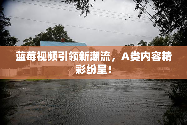 蓝莓视频引领新潮流，A类内容精彩纷呈！