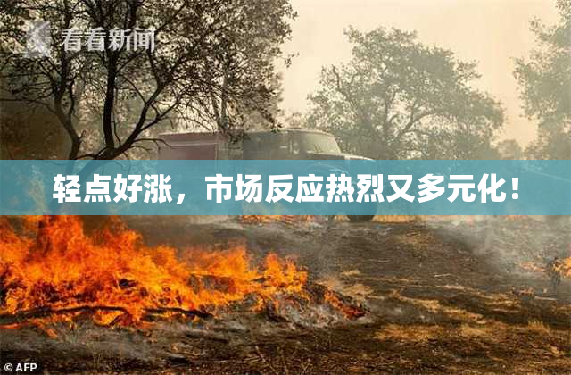 轻点好涨，市场反应热烈又多元化！