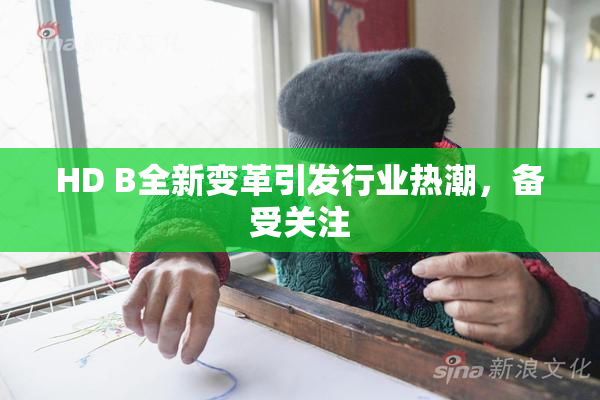 HD B全新变革引发行业热潮，备受关注