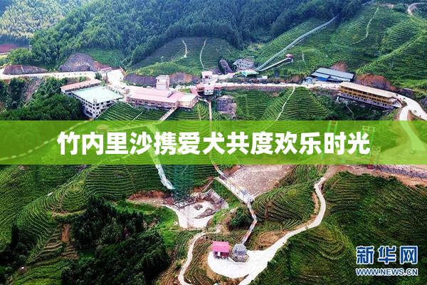 竹内里沙携爱犬共度欢乐时光