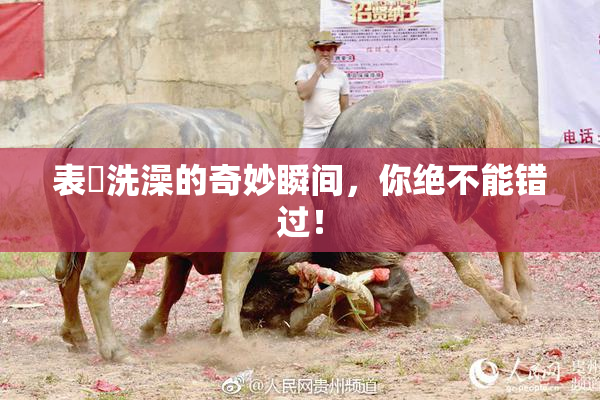 表妺洗澡的奇妙瞬间，你绝不能错过！