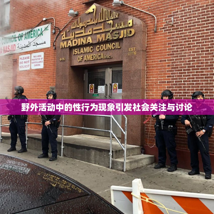 野外活动中的性行为现象引发社会关注与讨论