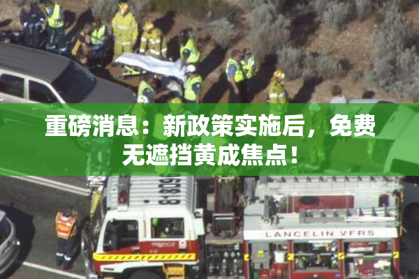 重磅消息：新政策实施后，免费无遮挡黄成焦点！