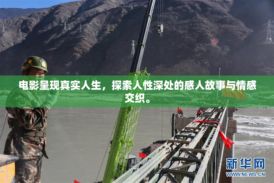 电影呈现真实人生，探索人性深处的感人故事与情感交织。