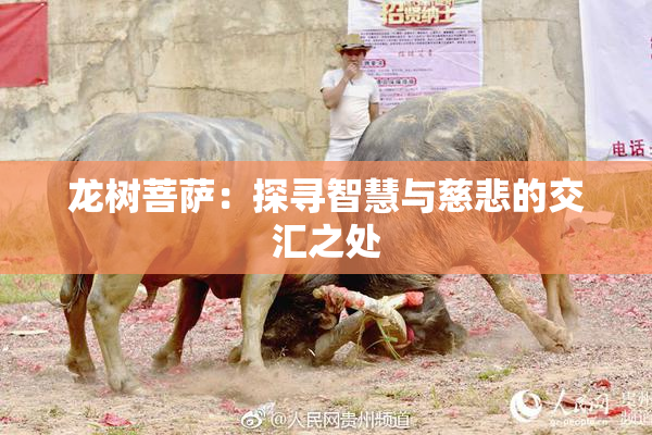 龙树菩萨：探寻智慧与慈悲的交汇之处