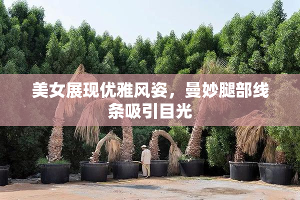 美女展现优雅风姿，曼妙腿部线条吸引目光