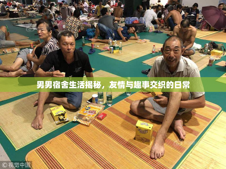 男男宿舍生活揭秘，友情与趣事交织的日常