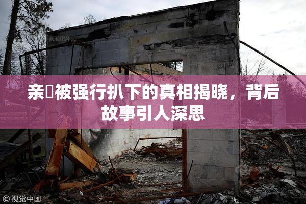 亲妺被强行扒下的真相揭晓，背后故事引人深思