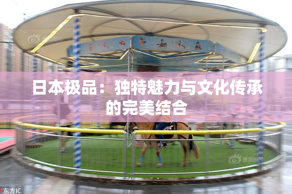 日本极品：独特魅力与文化传承的完美结合