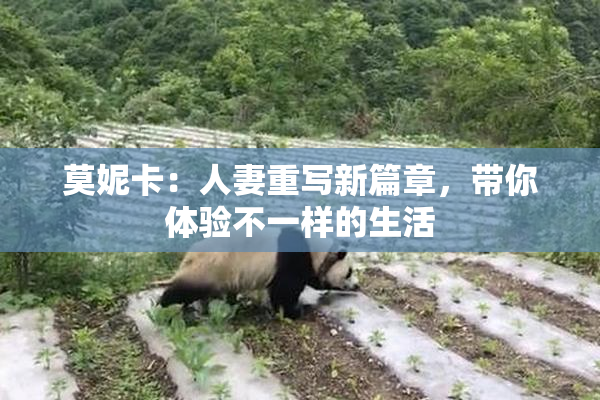 莫妮卡：人妻重写新篇章，带你体验不一样的生活