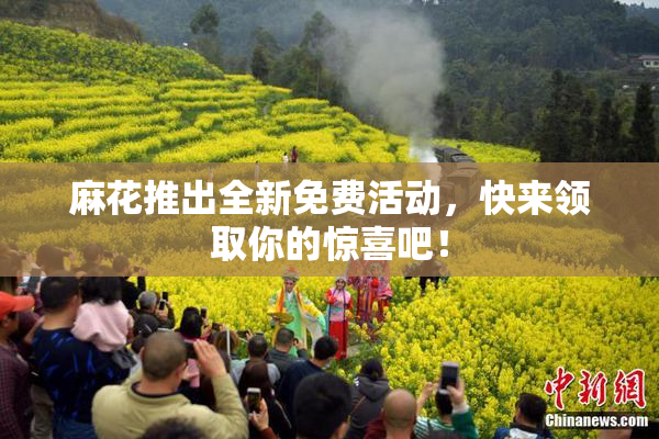 麻花推出全新免费活动，快来领取你的惊喜吧！