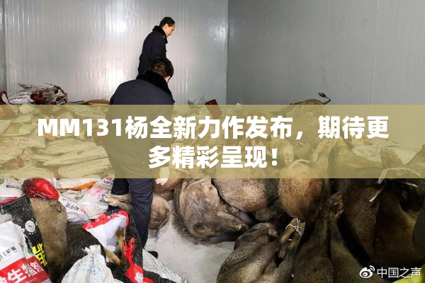 MM131杨全新力作发布，期待更多精彩呈现！
