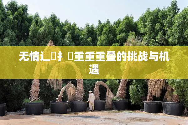 无情辶喿扌畐重重重叠的挑战与机遇