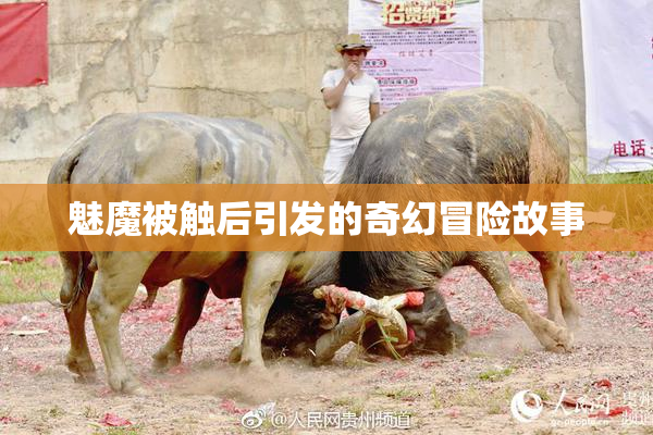魅魔被触后引发的奇幻冒险故事