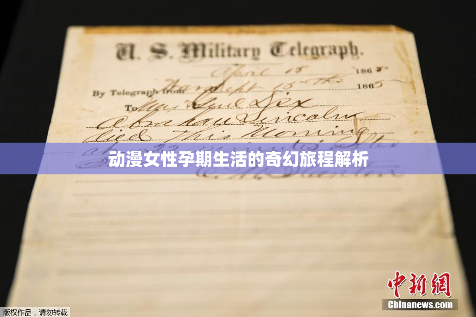 动漫女性孕期生活的奇幻旅程解析