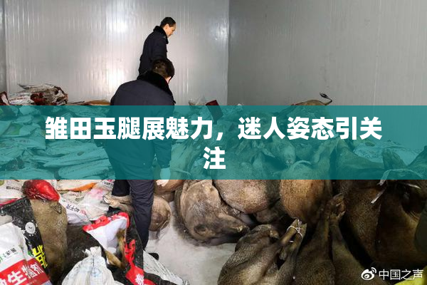 雏田玉腿展魅力，迷人姿态引关注
