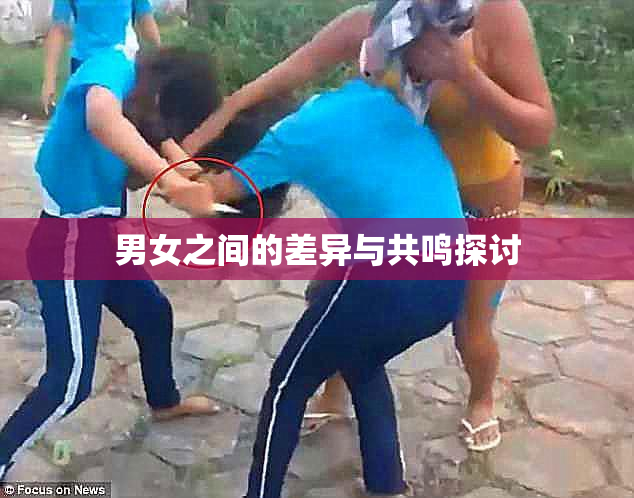 男女之间的差异与共鸣探讨