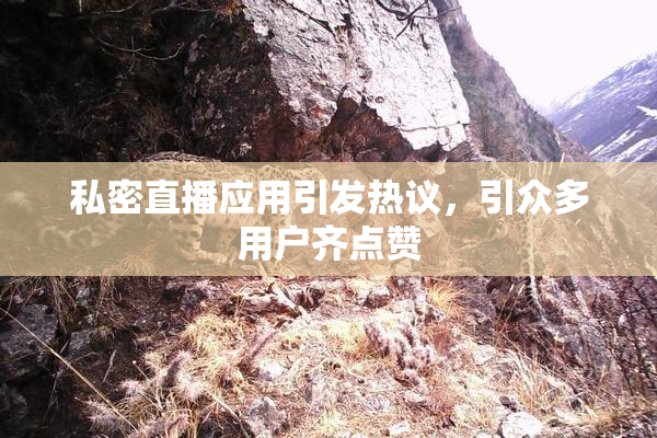 私密直播应用引发热议，引众多用户齐点赞
