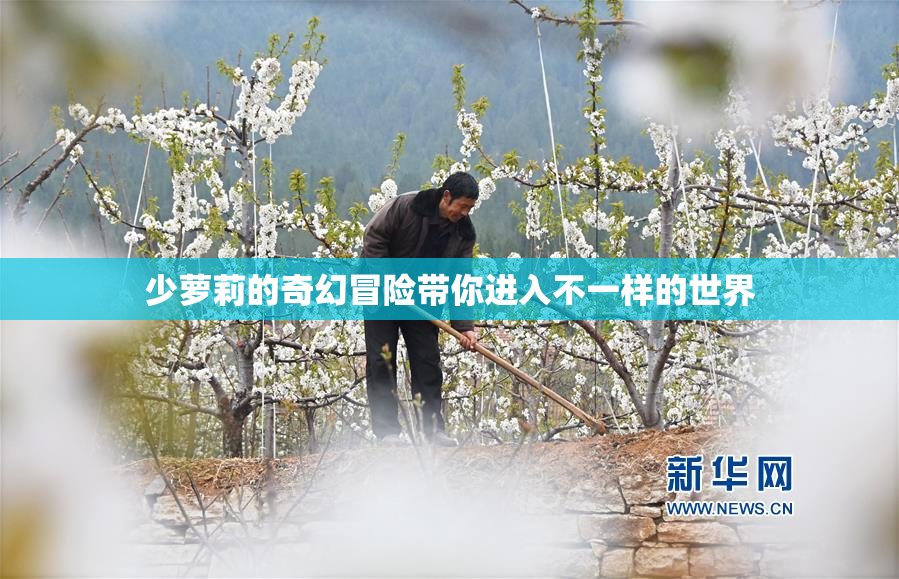 少萝莉的奇幻冒险带你进入不一样的世界