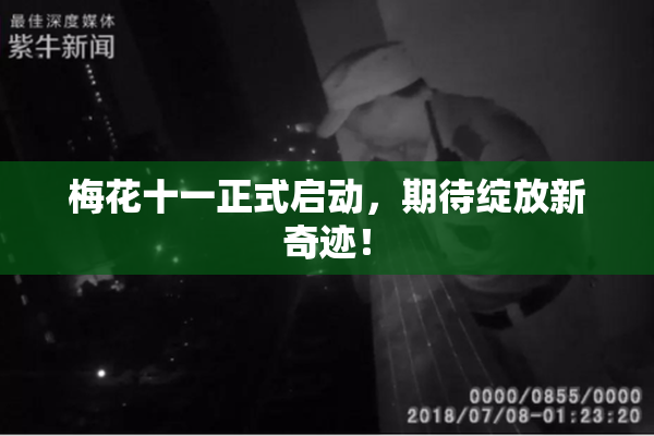 梅花十一正式启动，期待绽放新奇迹！