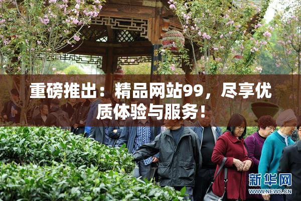 重磅推出：精品网站99，尽享优质体验与服务！