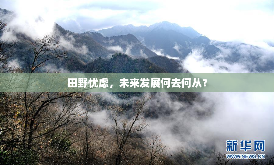田野忧虑，未来发展何去何从？
