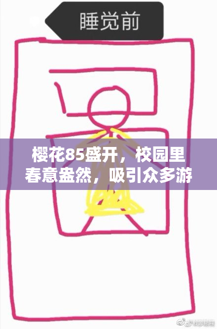 樱花85盛开，校园里春意盎然，吸引众多游客