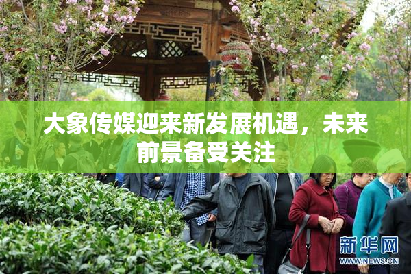 大象传媒迎来新发展机遇，未来前景备受关注