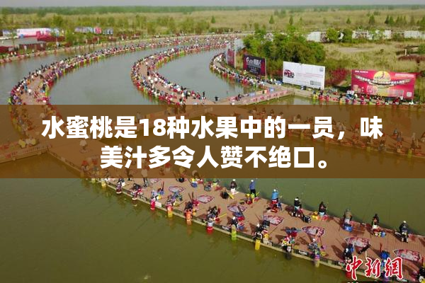水蜜桃是18种水果中的一员，味美汁多令人赞不绝口。