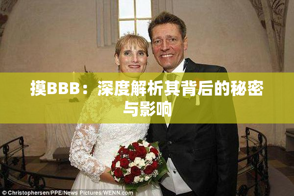 摸BBB：深度解析其背后的秘密与影响