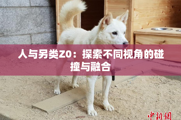 人与另类Z0：探索不同视角的碰撞与融合